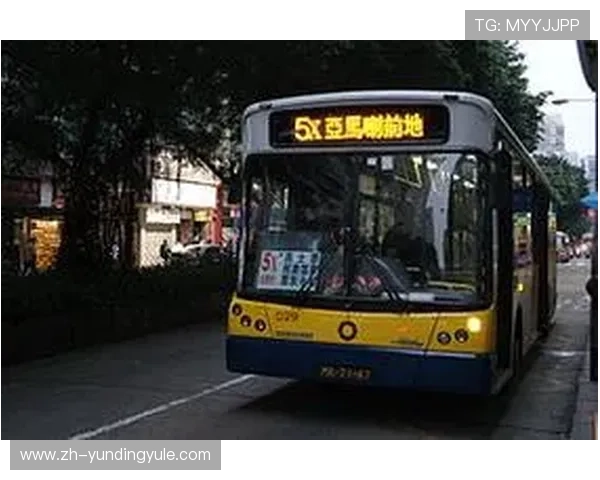 新云顶国际集团(澳门)有限公司在澳门经济中的作用与行业影响分析