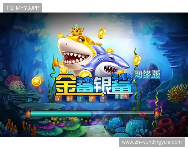 金鲨银鲨官网新手指南，帮助玩家快速了解游戏规则与操作技巧